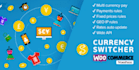 put currency exchanger for your wordpress website
