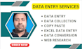 do professional data entry web research job