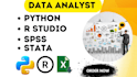 do statistical data analysis, r coding, SAS, excel, spss, python programming