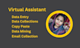 do excel data entry data collection and copy paste