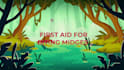 create 2d motion graphics and logo animations