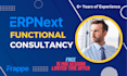 provide consultancy for erpnext implementation