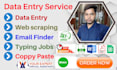 do truthful data entry, web research, copy paste, excel