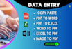 do data entry, copy paste, file conversion, and pdf convert