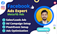 manage facebook, meta and ig ads, fb, meta ads campaign setup