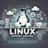 resolve any linux or unix ubuntu redhat server issues