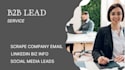 b2b lead generation and marketing service