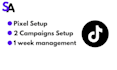 setup tiktok ads, tiktok campaign and pixel