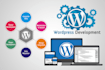 wordpress website development and web design