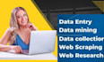 do professional data entry, excel and copy paste with 5 years experience
