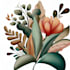 draw botanical illustrations  plants
