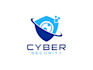 provide cyber security services