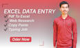 do excel data entry, convert pdf to excel, copy paste