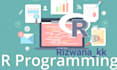 do r programming,r coding, data analysis, visualization using rstudio