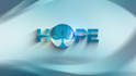create a custom motion graphics animated logo intro