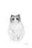 do digital art design or drawing for pet photo customize