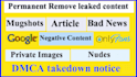 permanently remove mugshots,news,articles,and negative links