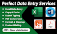 do data entry, excel data entry, convert images and pdf to excel