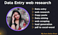 do excel data entry, web research, and copy paste
