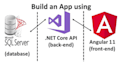 develop full stack website angular asp dot net nodejs reactjs