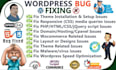 fix wordpress bugs, wordpress fetal errors, and wordpress critical errors