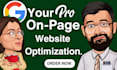 do complete onpage SEO optimization or website optimization