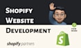 build you a professional shopify store