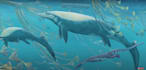 research and write about paleontology