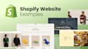 elevate your business with a stunning shopify store