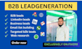 do b2b lead generation, web research and email list building