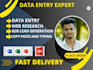 do data entry, web research, excel data entry, pdf to excel,