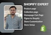 setup profitable shopify store or boost sales