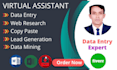 do data entry, web research and lead generation expert