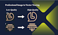 convert your raster image or logo into vector