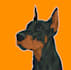 draw your pet into pixel art