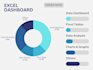 design excel dashboard, pivot tables, graphs, charts