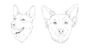 draw awesome line art illustration for your dog, cat, etc in 5 hours