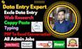 do a professional worker excel data entry, copy paste, web research and typing
