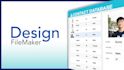 design or redesign filemaker layouts interface