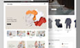build professional ecommerce online store with wordpress