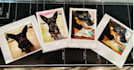 make your photos into physical, watercolor polaroids