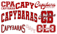 design simple varsity logo for t shirt etc