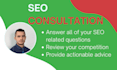 have an SEO consultation with you