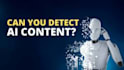 ai content editing and fact checking in 24 hours