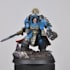 paint your miniatures to a high display standard