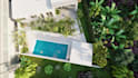 design landscape, backyard, patio, garden, and frontyard