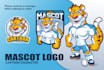 design a logo mascot with free revisions
