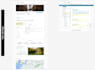 develop web applications or software solutions