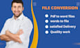 convert and compress pdf to word or word to pdf files