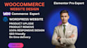 design woo commerce website, wordpress ecommerce website